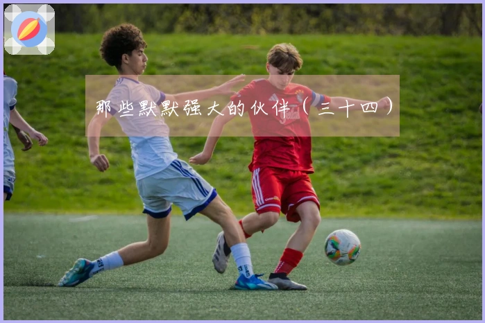 那些默默强大的伙伴（三十四）