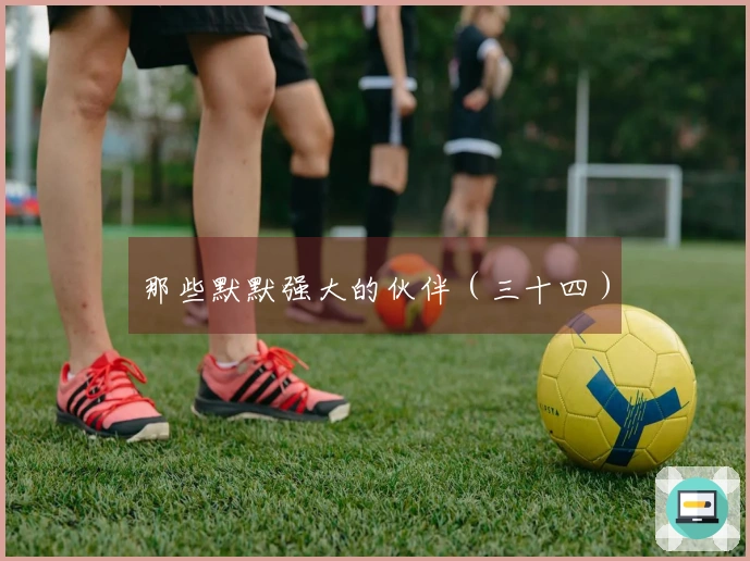 那些默默强大的伙伴（三十四）