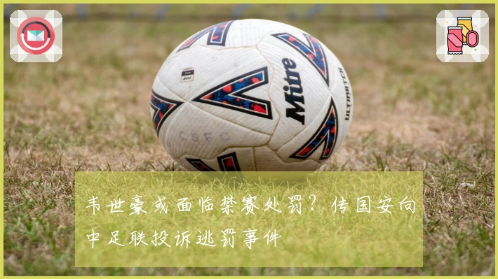 韦世豪或面临禁赛处罚？传国安向中足联投诉逃罚事件